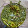 Saffron ngâm mật ong rừng