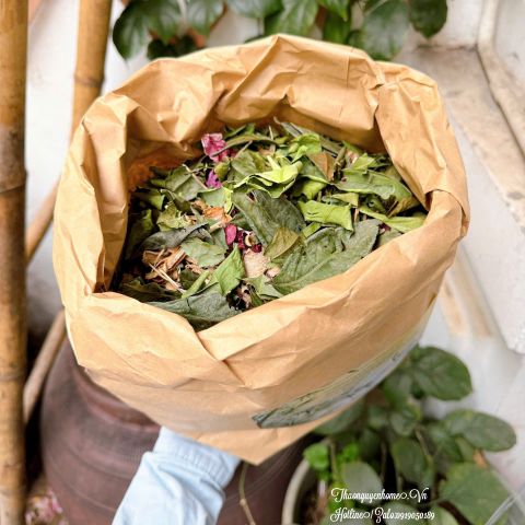  Thảo dược ngâm tắm ngâm mông hoa hồng 