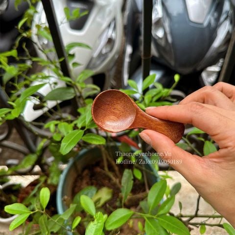  Thìa không cán gỗ táo set 5c 