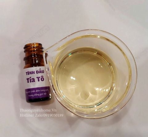  Tinh dầu tía tô 5ml 