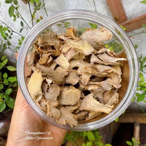  Gừng Sẻ Đồi Vân Tím 