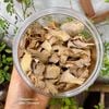 Gừng Sẻ Đồi Vân Tím