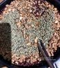 Trà hạ mỡ máu hũ 350gram