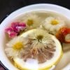 BẠCH CỐNG CÚC cúc tiến vua ( Chrysanthemum Tea)