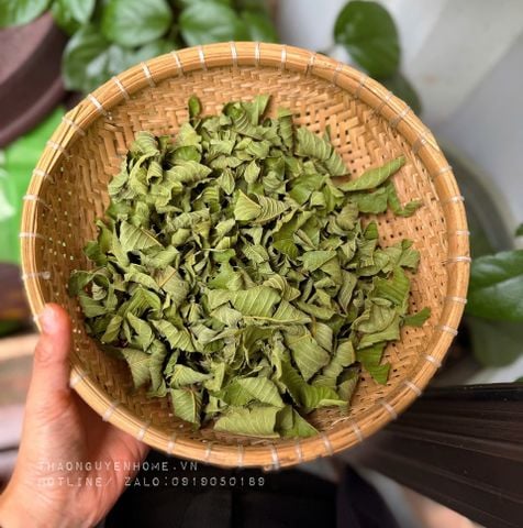  Trà giảm cân lá ổi non 