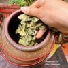Trà giảm cân lá ổi non