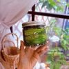 Nụ hoa tam thất vân nam dòng VIP
