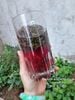 Trà lá tía tô ta sấy lạnh 100gr  ( Vietnamese Perilla Tea)