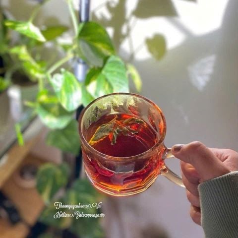  Trà tiêu mỡ thảo mộc túi lọc 