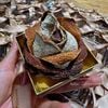 Trần bì Tân Hội Lâu Năm Thảo Nguyên Home ( hũ 250gram)