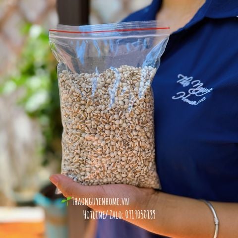  Ý dĩ nếp sạch hạt to mẩy nấu cháo ( hạt Barley ) 