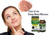 Viên uống bổ não Maruman DHA Ginkgo Biloba 200 viên