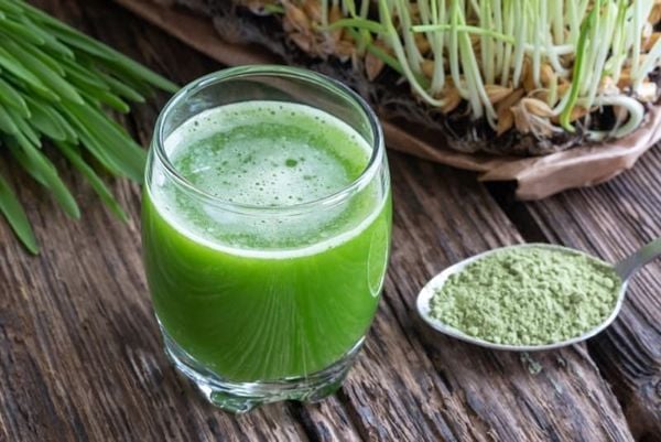 Bột mầm lúa non Grass Barley Nhật Bản 46 gói