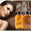 Cặp Dầu gội xả mỡ ngựa Horse Oil Nhật Bản