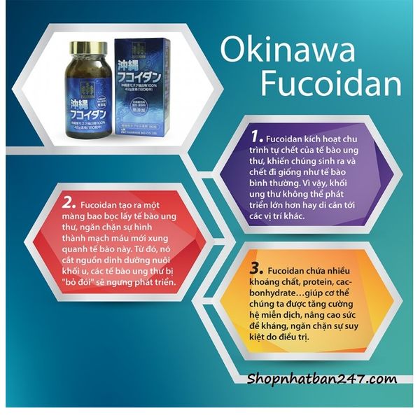 Tảo hỗ trợ điều trị và phòng chống ung thư Okinawa Fucoidan Kanehide Bio 180 Viên
