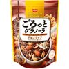 Ngũ Cốc trái cây ăn liền Nissin Premium Granola