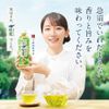 Nước trà xanh matcha Ayataka không có ga 525ml