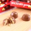 Socola (Chocolate) nhân hạt macca Meiji hộp 64g