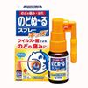 Xịt họng trị ho, viêm họng vị dâu Kobayashi 15ml