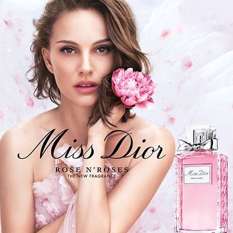 Miss Dior Rose Essence  Những đóa hồng xinh đẹp xứ Grasse  NỮ DOANH NHÂN   BusinessWoman Magazine