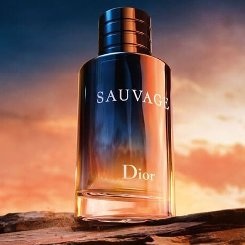 dior sovaj