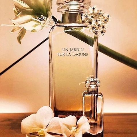 Hermes jardin de lagune clearance