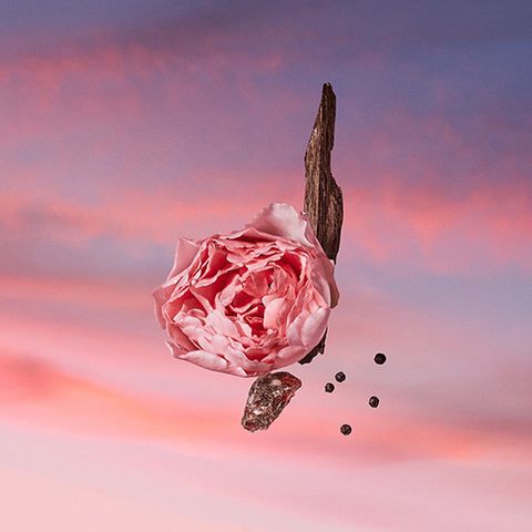 【100ml】LOUIS VUITTON LES SABLES ROSES Les Sables Roses Louis Vuitton perfume - a fragrance for