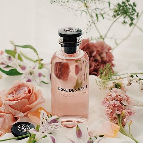 nước hoa lv rose des vents