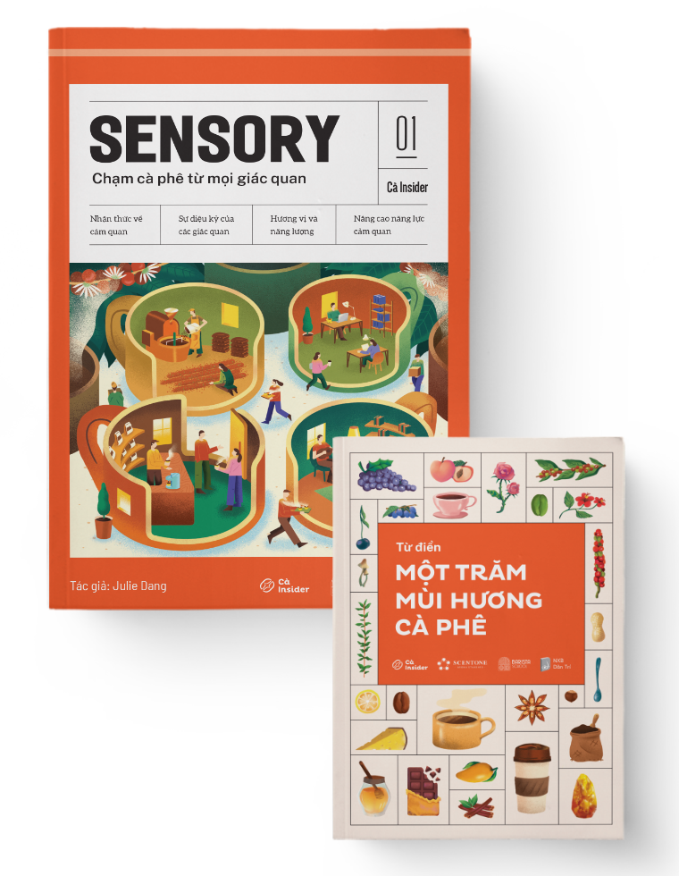 CÀ INSIDER NO.1 SENSORY - Chạm cà phê từ mọi giác quan