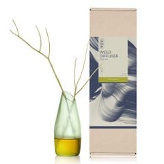 Lọ khuyếch tán tinh dầu BsaB Weed Diffuser 200ml