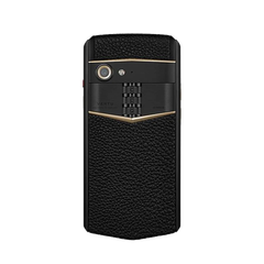 Aster P Gothic Gold Screw Calfskin Phone - Jade Black