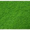 Bột rêu màu xanh lá đậm trang trí mô hình tiểu cảnh 10g