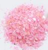 Bột Xà Cừ 12 Màu Trang Trí Resin