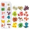 Hộp hoa khô 12 màu trang trí trang sức resin