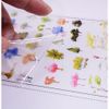 Sticker tạo hình trang trí phụ kiện đúc resin