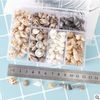 Phụ kiện vỏ ốc xà cừ trang trí resin 100G
