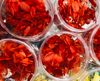 Hoa cẩm tú cầu khô trang trí resin (màu mới về)