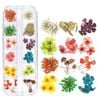 Hộp hoa khô 12 màu trang trí trang sức resin