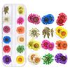 Hộp hoa khô 12 màu trang trí trang sức resin