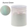 Màu Bột Nhũ Ánh Kim Ngũ Sắc Pha Sơn, Màu Làm Nail, Nhũ Trang Trí Slime - Trường Thịnh