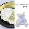 Màu Bột Nhũ Ánh Kim Ngũ Sắc Pha Sơn, Màu Làm Nail, Nhũ Trang Trí Slime - Trường Thịnh