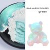 Màu Bột Nhũ Ánh Kim Ngũ Sắc Pha Sơn, Màu Làm Nail, Nhũ Trang Trí Slime - Trường Thịnh