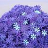 Hộp 30g Kim Tuyến Sequins hình hoa tuyết cánh nhọn trang trí