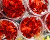 Hoa cẩm tú cầu khô trang trí resin (màu mới về)