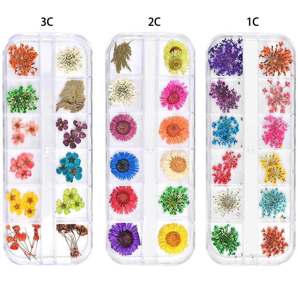 Hộp hoa khô 12 màu trang trí trang sức resin