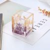 Hộp 12 màu hoa cẩm tú cầu khô màu sắc rực rỡ