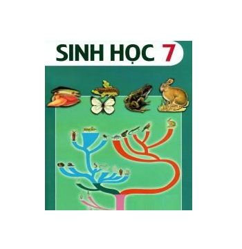 Bộ tranh Sinh học 7 -tranh nhựa (43tr)