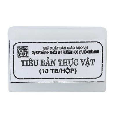 Hộp tiêu bản thực vật (10 mẫu)