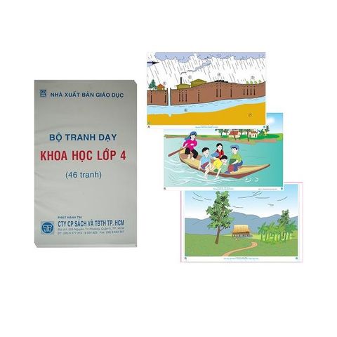 Tranh Khoa học lớp 4 tranh nhựa