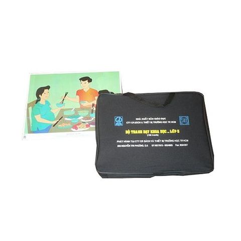 Tranh Khoa học Lớp 5 - tranh nhựa